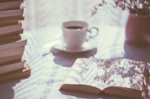 os clubes de assinatura de livros o que sao e qual escolher