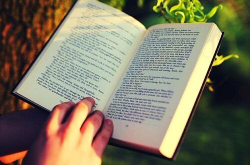 entenda o que e uma novela