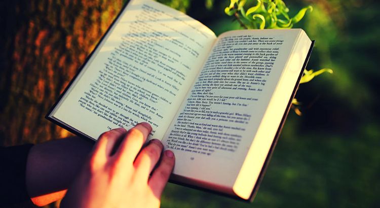 entenda o que e uma novela