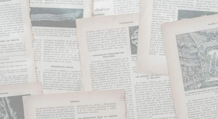 motivos participar terceira edicao premio microconto de ouro