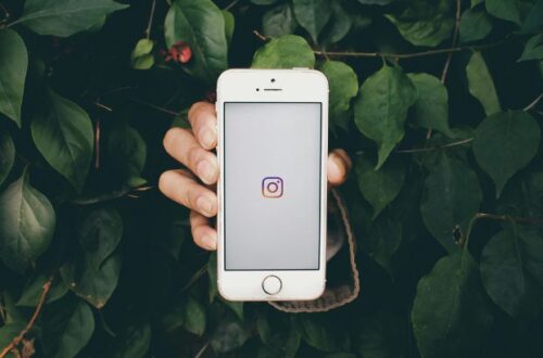 aprenda como fazer instagram para escritores e autores de livros literatura