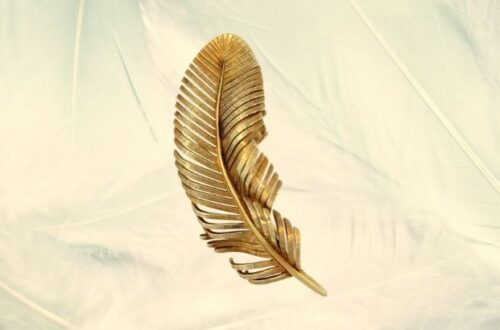 motivos para participar do 4 premio internacional pena de ouro