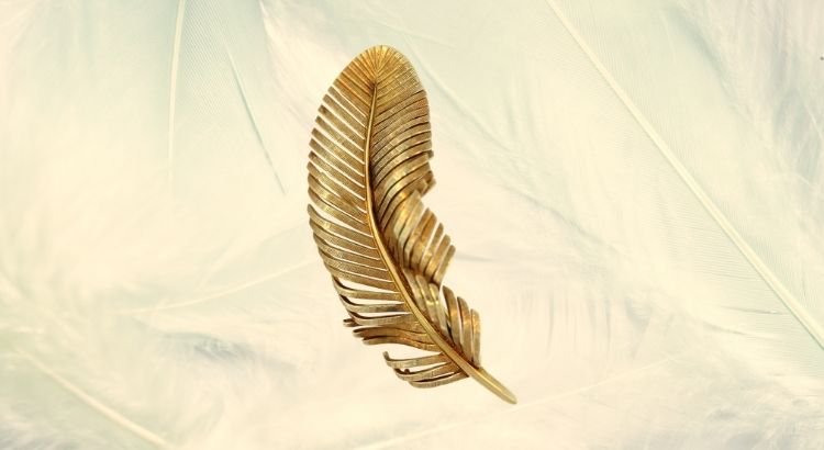 motivos para participar do 4 premio internacional pena de ouro