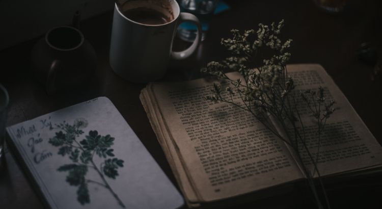 cinco livros de fantasia no estilo dark academia