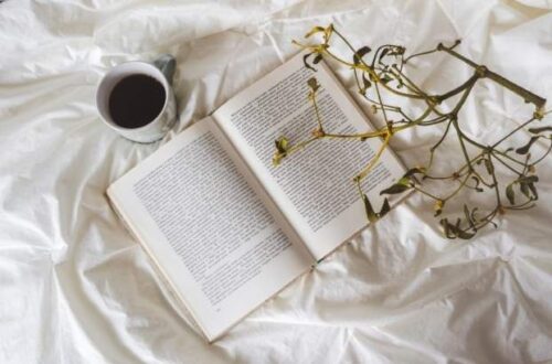 os 5 livros subestimadas de fantasia ya