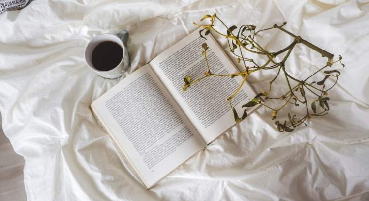 os 5 livros subestimadas de fantasia ya