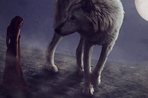 os 7 livros incriveis de fantasia sombria