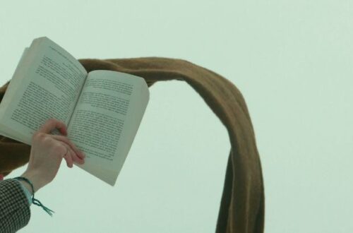 curva fichtiana navegando pelas linhasda historia em crise