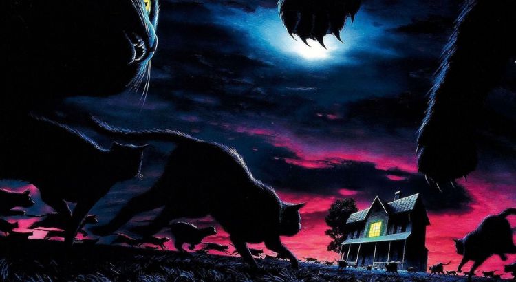 descubra como comecar a ler stephen king