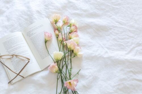 os autores romanticos os escritores que encantam com historias de amor