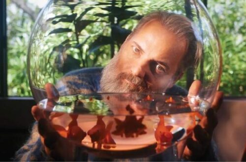 story circle o circulo de historias dan harmon