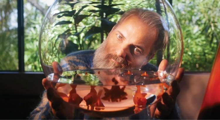story circle o circulo de historias dan harmon