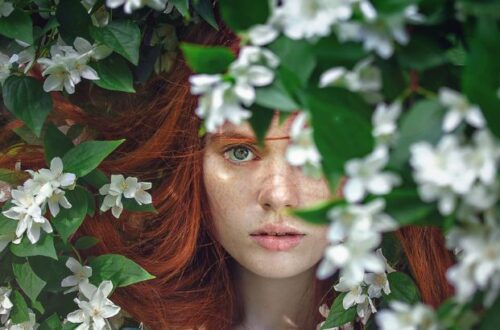 as 5 series de fantasia ya para ler antes de experimentar a fantasia adulta