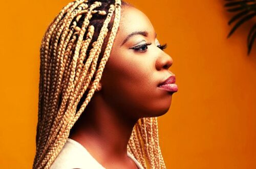 descubra a literatura negra 30 livros de escritoras negras