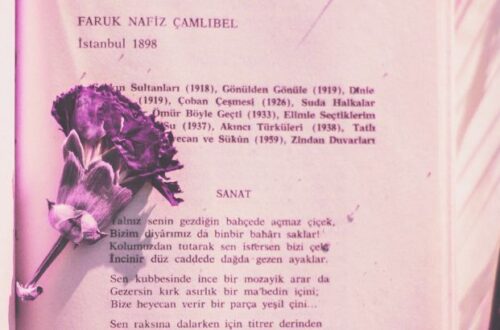 o que e a prosa roxa definicao dicas e exemplos