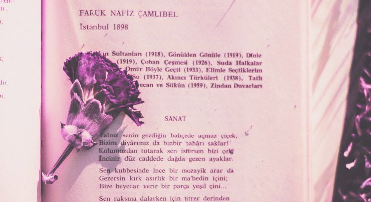 o que e a prosa roxa definicao dicas e exemplos