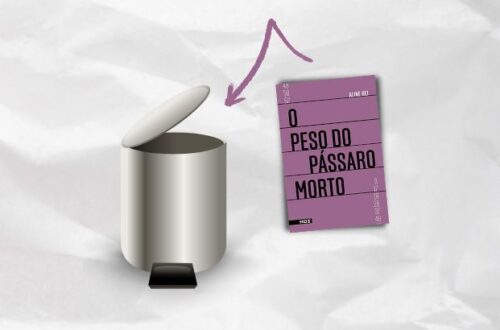 piores livros brasileiros resenha o peso do passaro morto aline bei