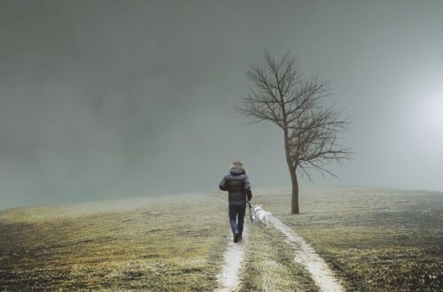 desfecho definicao dicas e exemplos