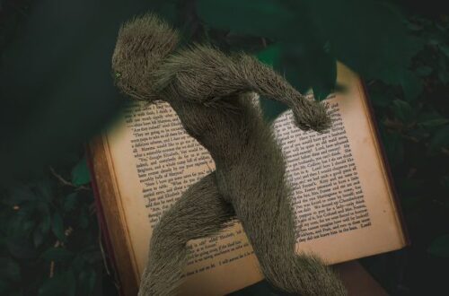 homem vs natureza o conflito mais contundente da escrita