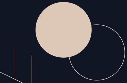 resenha bula para uma vida inadequada de yuri alhanati