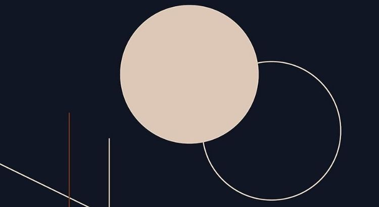 resenha bula para uma vida inadequada de yuri alhanati