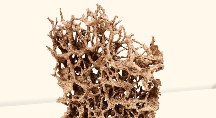 resenha cupim de layla martinez