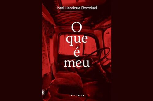 resenha o que e meu de jose henrique bortoluci