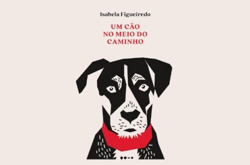resenha um cao no meio do caminho de isabela figueiredo