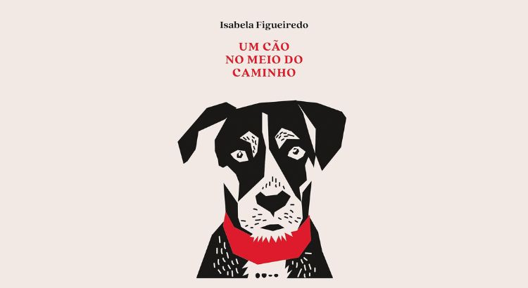 resenha um cao no meio do caminho de isabela figueiredo