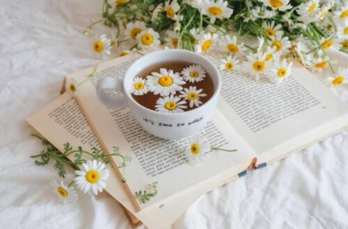 livros ficcao tao lindos que voce vai rele los so pela linguagem