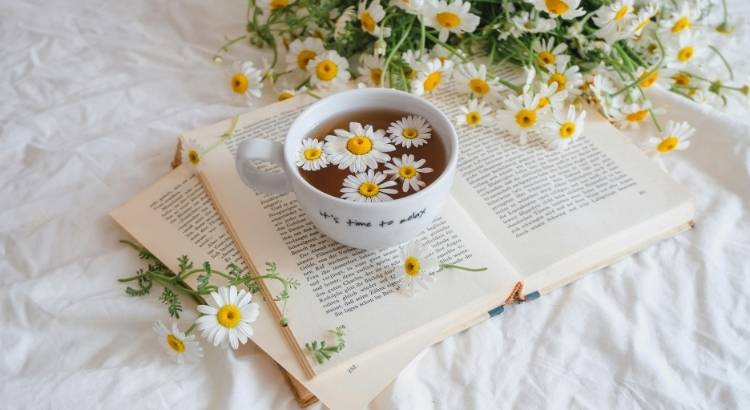 livros ficcao tao lindos que voce vai rele los so pela linguagem