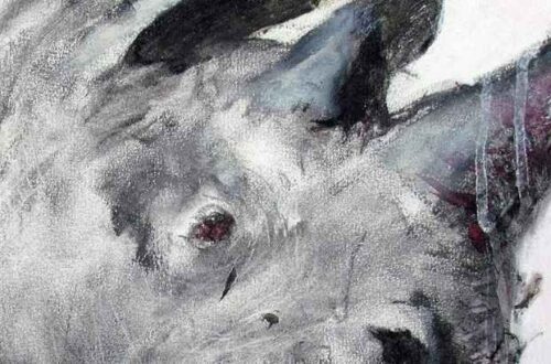 resenha livro correr com rinocerontes de cristiano baldi