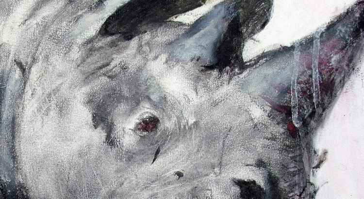 resenha livro correr com rinocerontes de cristiano baldi