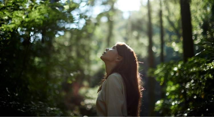 voce sera uma pessoa diferente depois desses 8 livros