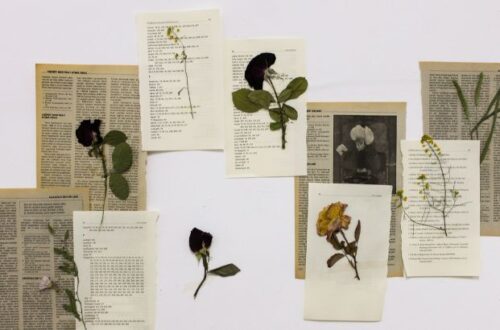 as 5 melhores alternativas ao nanowrimo para escrever seu romance