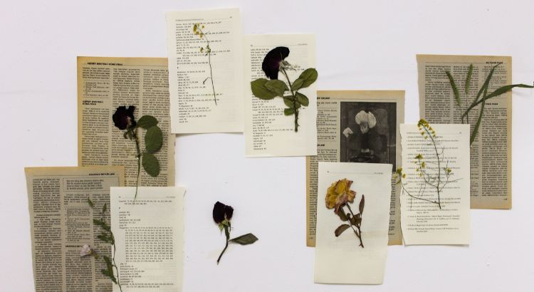 as 5 melhores alternativas ao nanowrimo para escrever seu romance