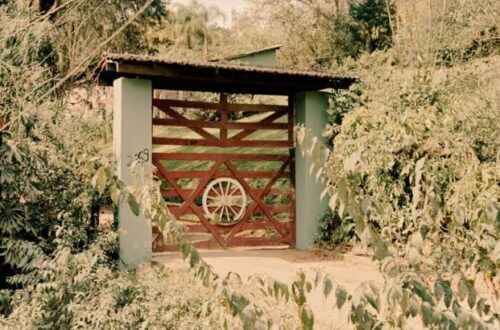 as cronicas do fim da infancia