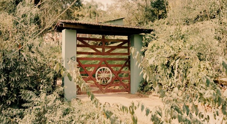 as cronicas do fim da infancia