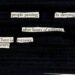 o que e blackout poetry o guia definitivo sobre versos apagados