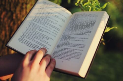 os 10 exemplos de narrativas pessoais brasileiras para inspirar sua escrita