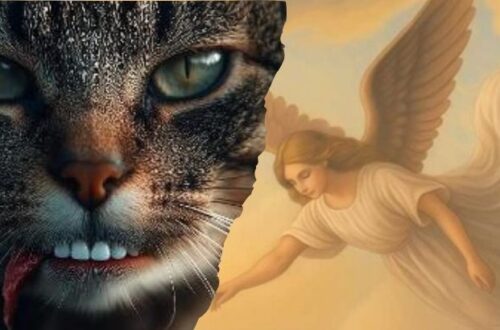 autores excluidos do principal premio literario da nova zelandia apos uso de inteligencia artificial no design das capas