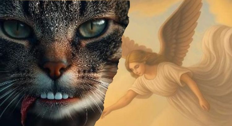 autores excluidos do principal premio literario da nova zelandia apos uso de inteligencia artificial no design das capas