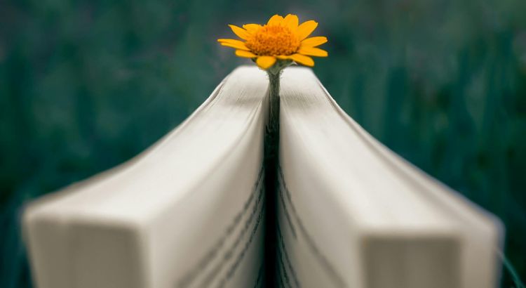 como usar a psicologia para escrever historias incriveis