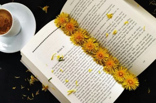 como escrever a sinopse de um livro guia