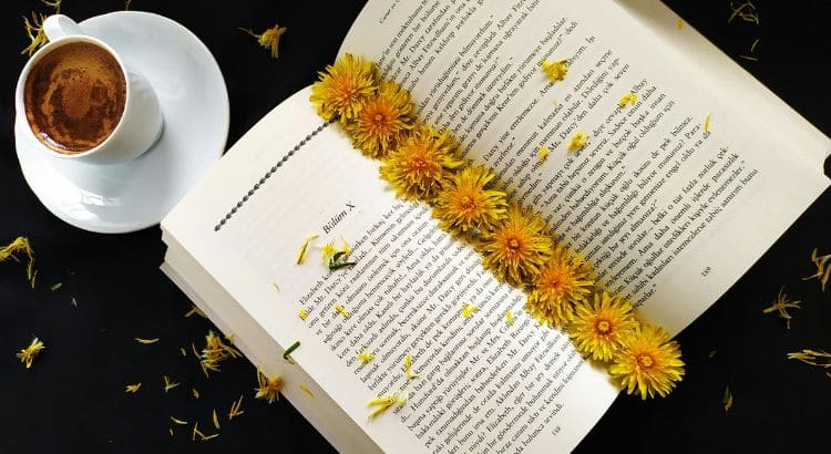 como escrever a sinopse de um livro guia