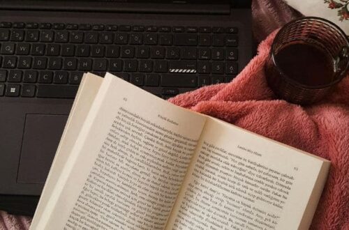 ficcao versus nao ficcao repensando a divisao