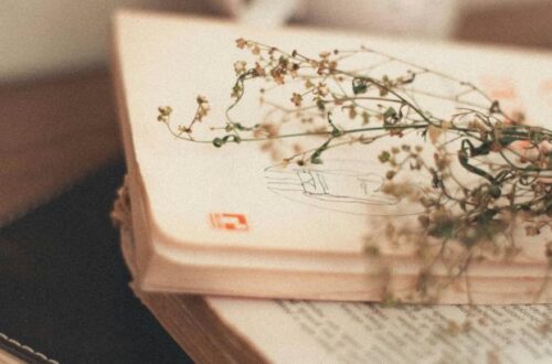 o que torna uma capa de livro realmente boa