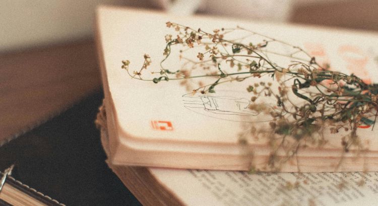 o que torna uma capa de livro realmente boa