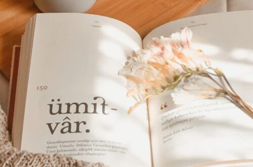 12 elementos da poesia que todo poeta deve conhecer