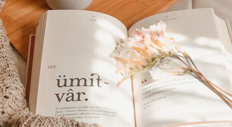 12 elementos da poesia que todo poeta deve conhecer